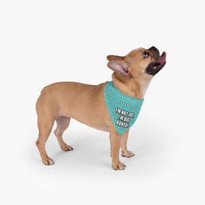 Trail Dogs – Big Boned Bandana