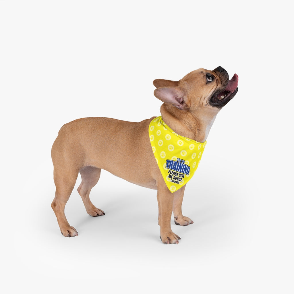 Trail Dogs – Dog in Training Bandana