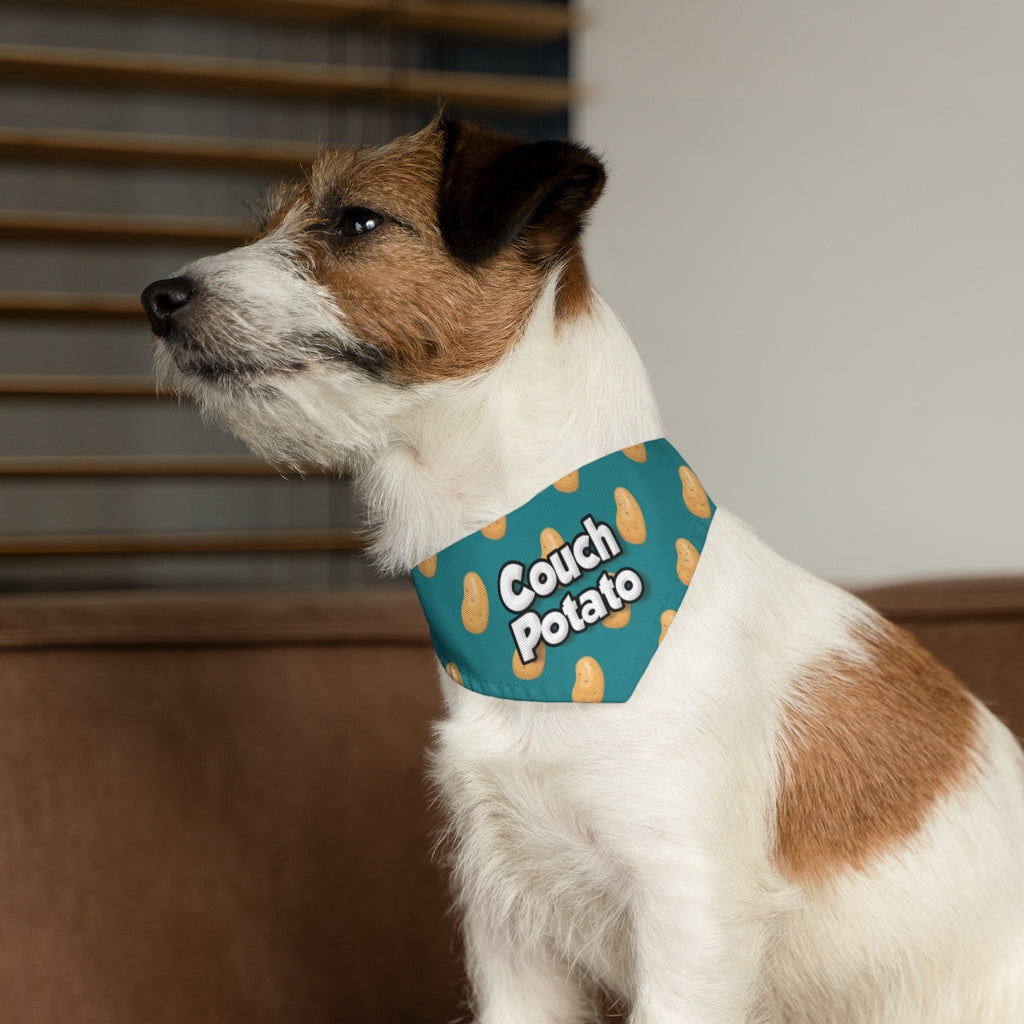 Couch Potato – Bandana Collar