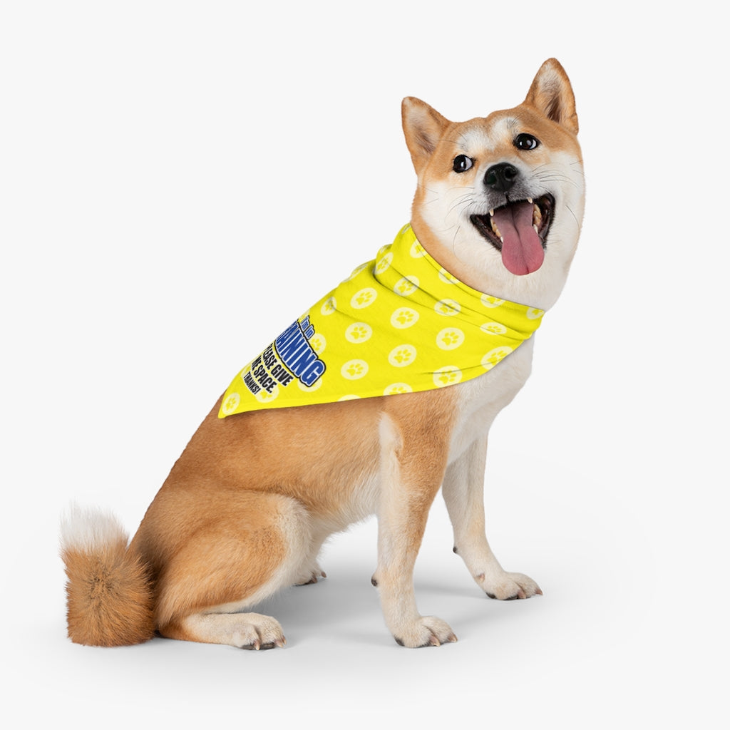 Trail Dogs – Dog in Training Bandana