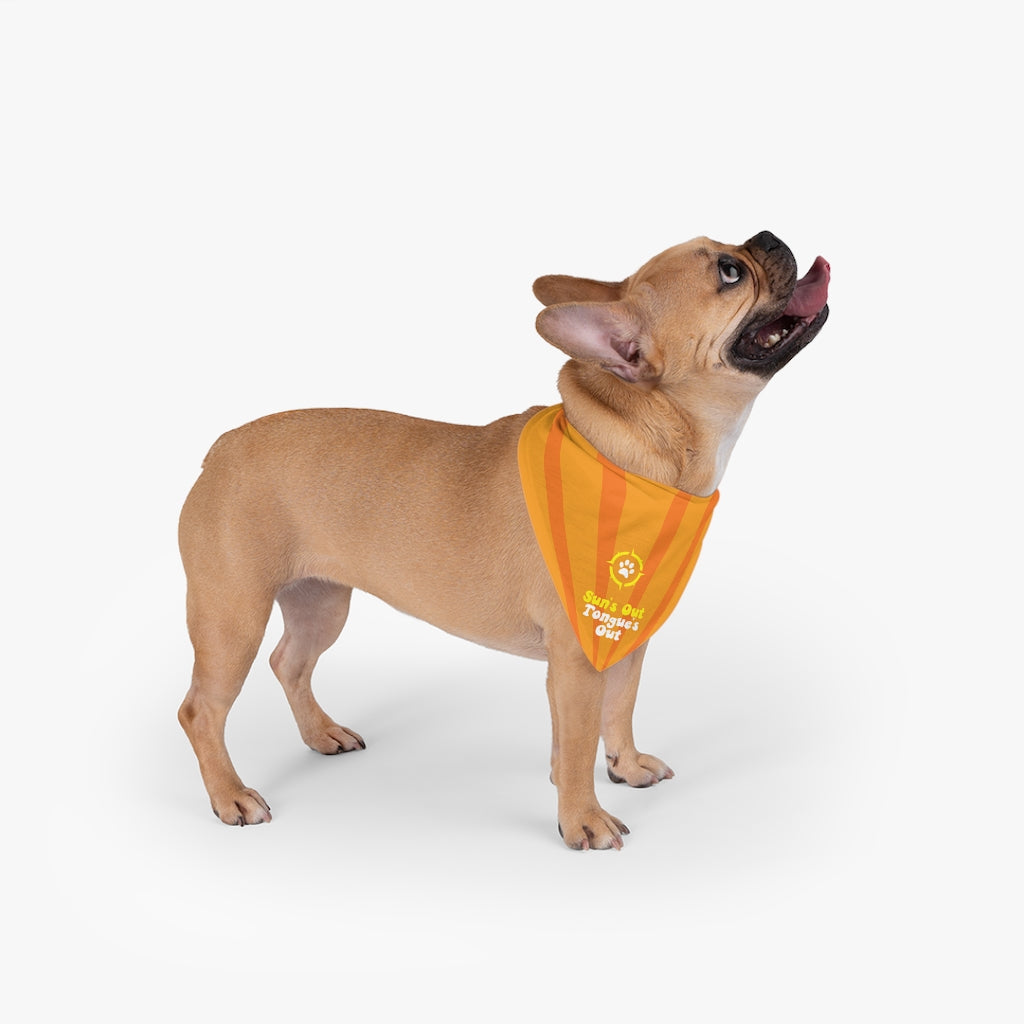 Trail Dogs – Sun's Out Tongue's Out Bandana